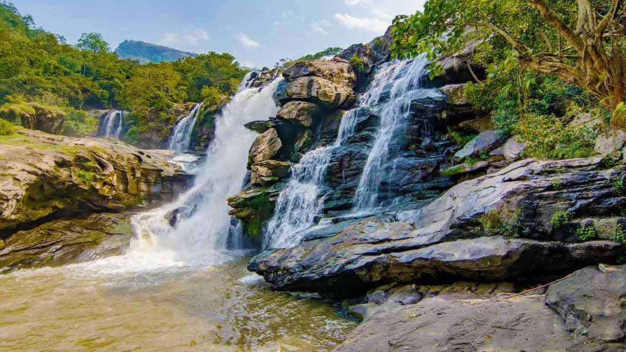 Viaje A Kerala Una Semana