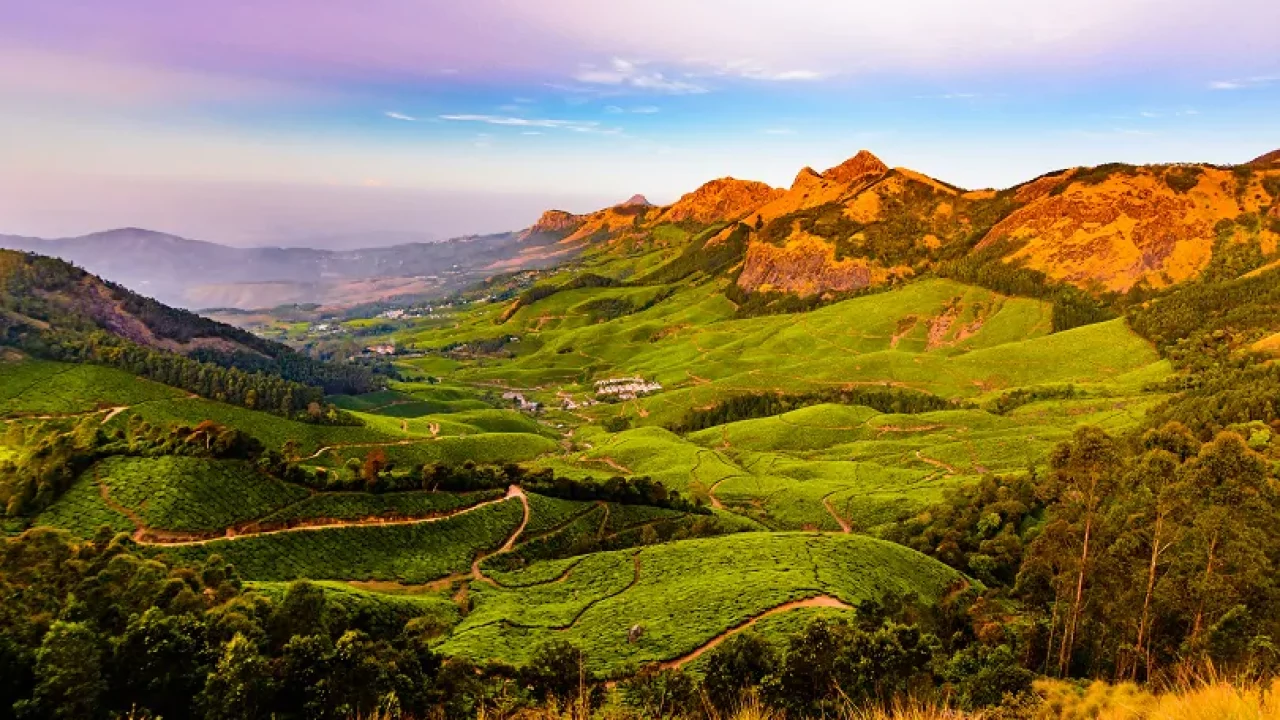 Viaje A Kerala Una Semana